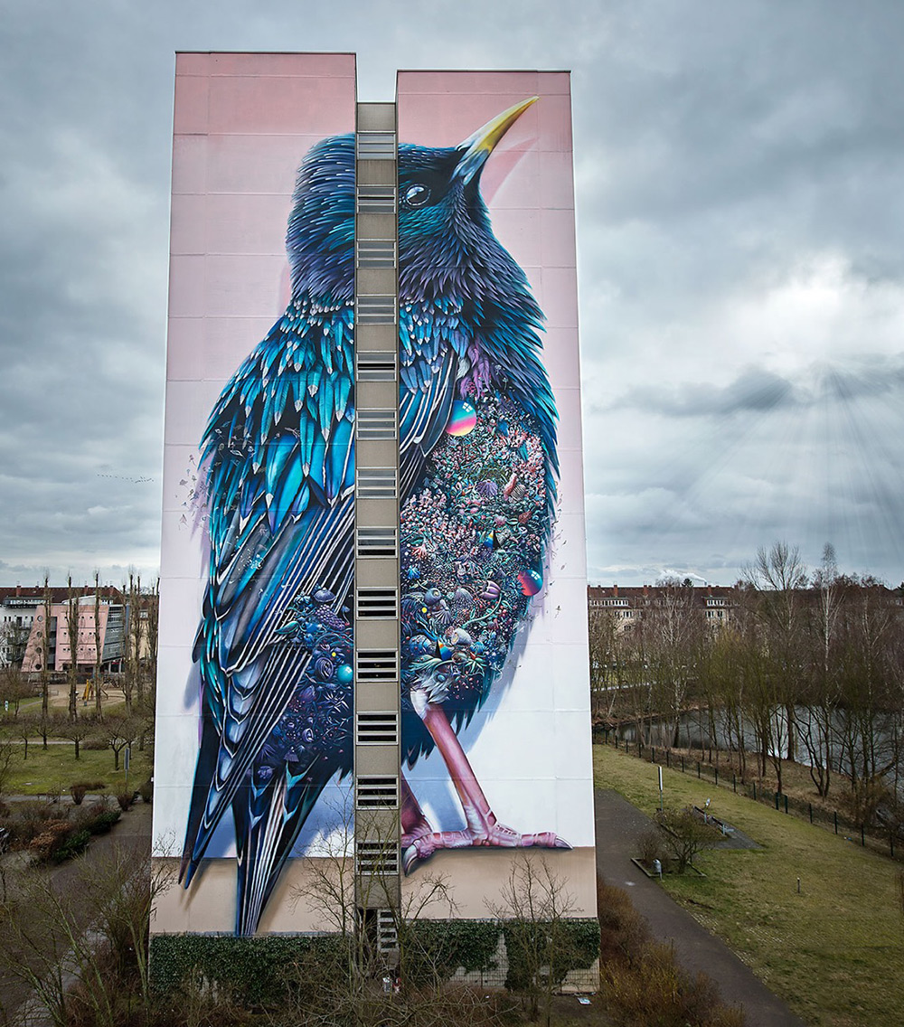 Number 2 is the Starling. Another bird sadly in decline. The mural chosen for this piece is from Dutch artists Collin van der Sluijs & Super A. The piece is astonishing and can be found in Berlin. It was curated by  #urbannation