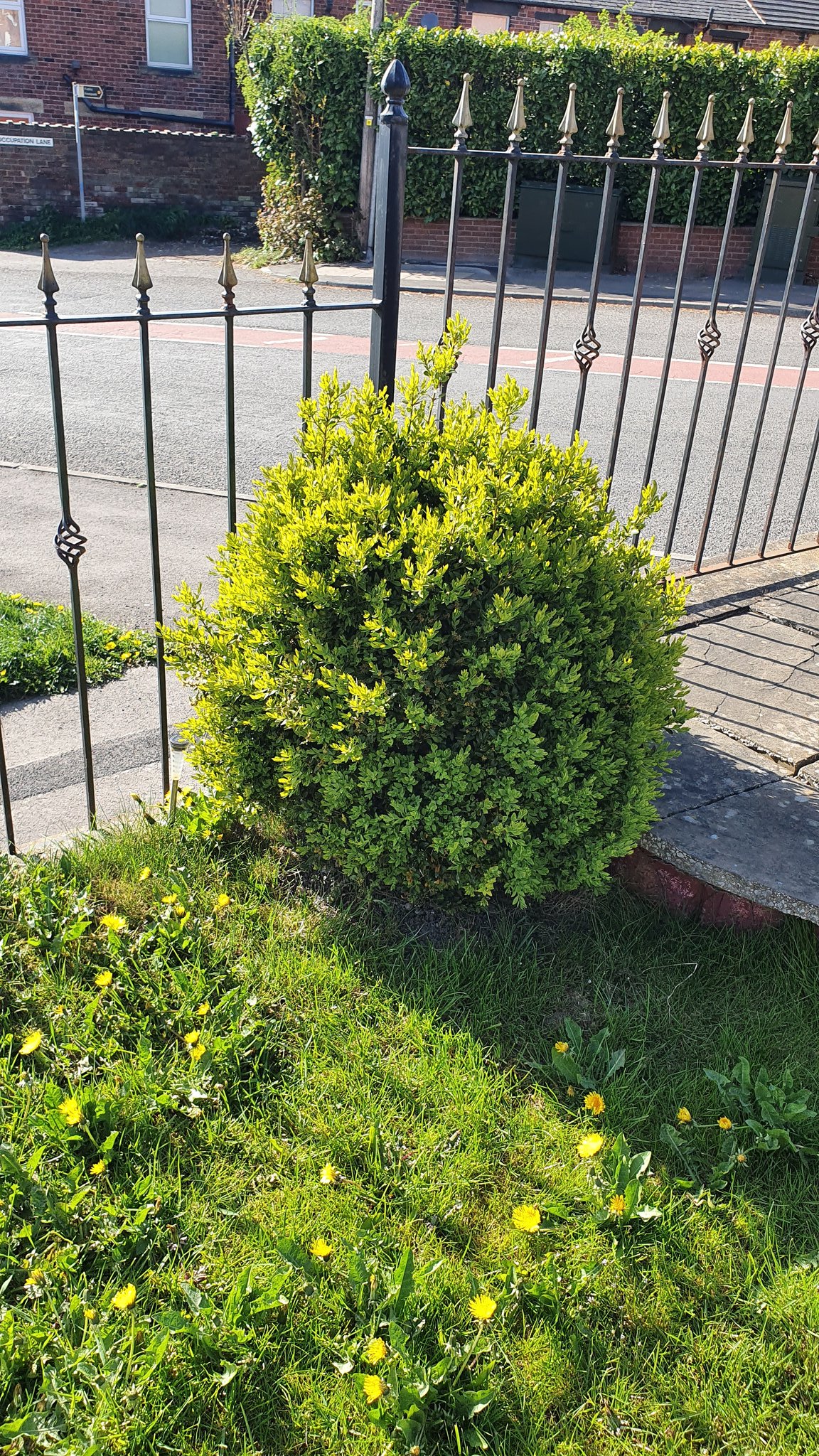 Jenny Bryant on Twitter: