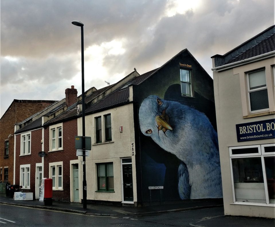 Number 4 is the woodpigeon. Now this is a bird whose numbers have increased a lot. Favoured by street artists we chose a piece from Boe and  @whoam_irony created as part of  @Upfest in 2017.