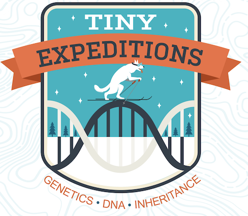 hudsonalpha's tweet photo. *NEW PODCAST EPISODE* We’ve talked about animal stripes, but did you know there are some people that appear to have stripes? On humans, the markings are called Blaschko’s lines. Learn more #podcast #TinyExpeditions #genetics #DNA #inheritance
https://t.co/bF9RpPJIbN https://t.co/Xi4Blt97T7
