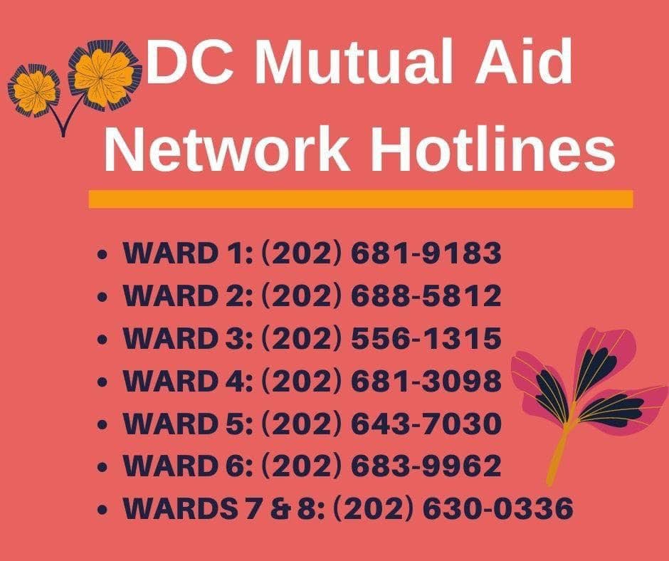 Black Lives Matter DC on Twitter: "DC MUTUAL AID NETWORK #MutualAid  #WeKeepUsSafe… "