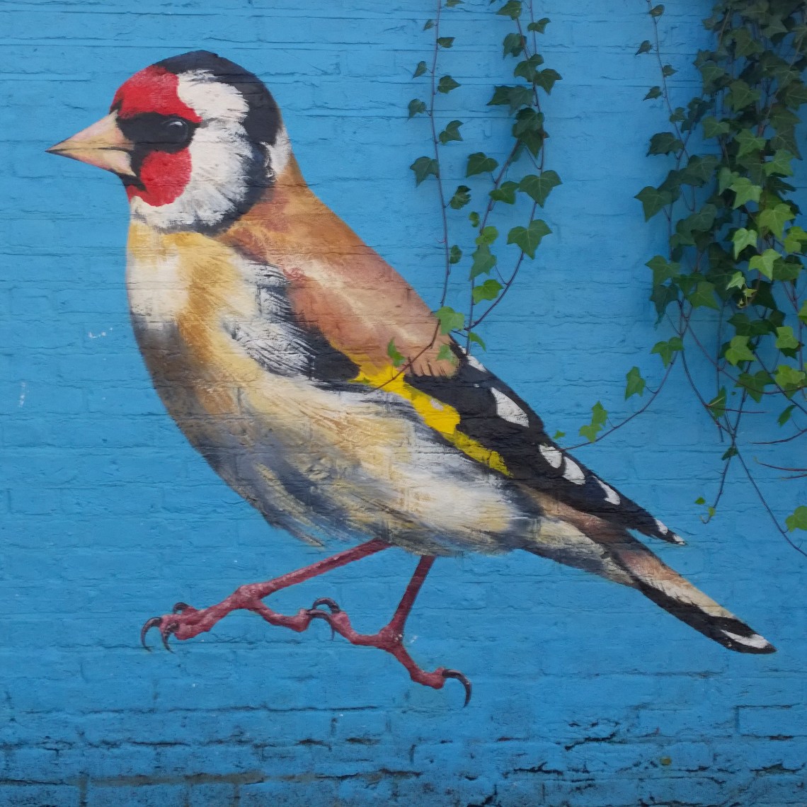 Number 6 comes from our good friend  @AtmStreetart. His Goldfinch can be found in the grounds of berrymede school in Acton. The  #goldfinch is also by far the most populous visitor to our own feeder here in East London