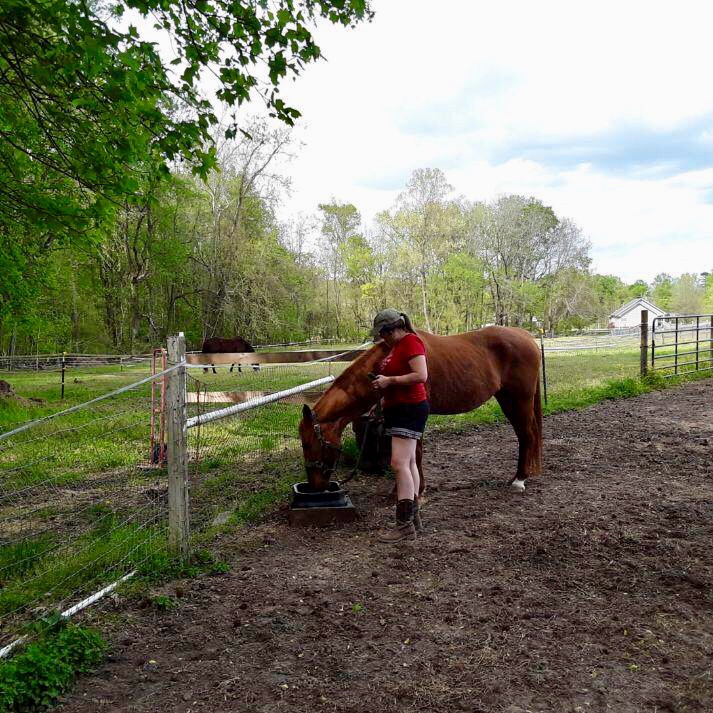 BREAKING! ... Rare  #BehindTheScenes look as I plot my escape from HillbillyHell and  #WorldDomination. Step 1: get out of carrying Her Fatness around the farm. I appear calm and content, but as soon as she lets her guard down I will rear up, knock her down and bolt away! BwaHaHa!