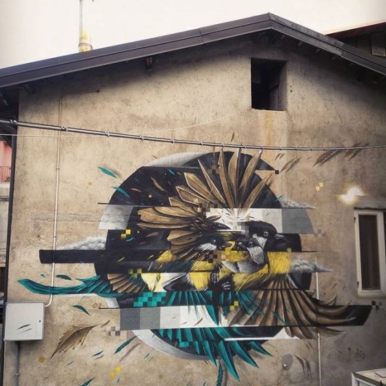 Number 7 is the Great Tit. We had to go to italy to find a picture to do this lovely bird justice. Created by  #paolopsiko this is an incredible mural located in the town of Parenti.