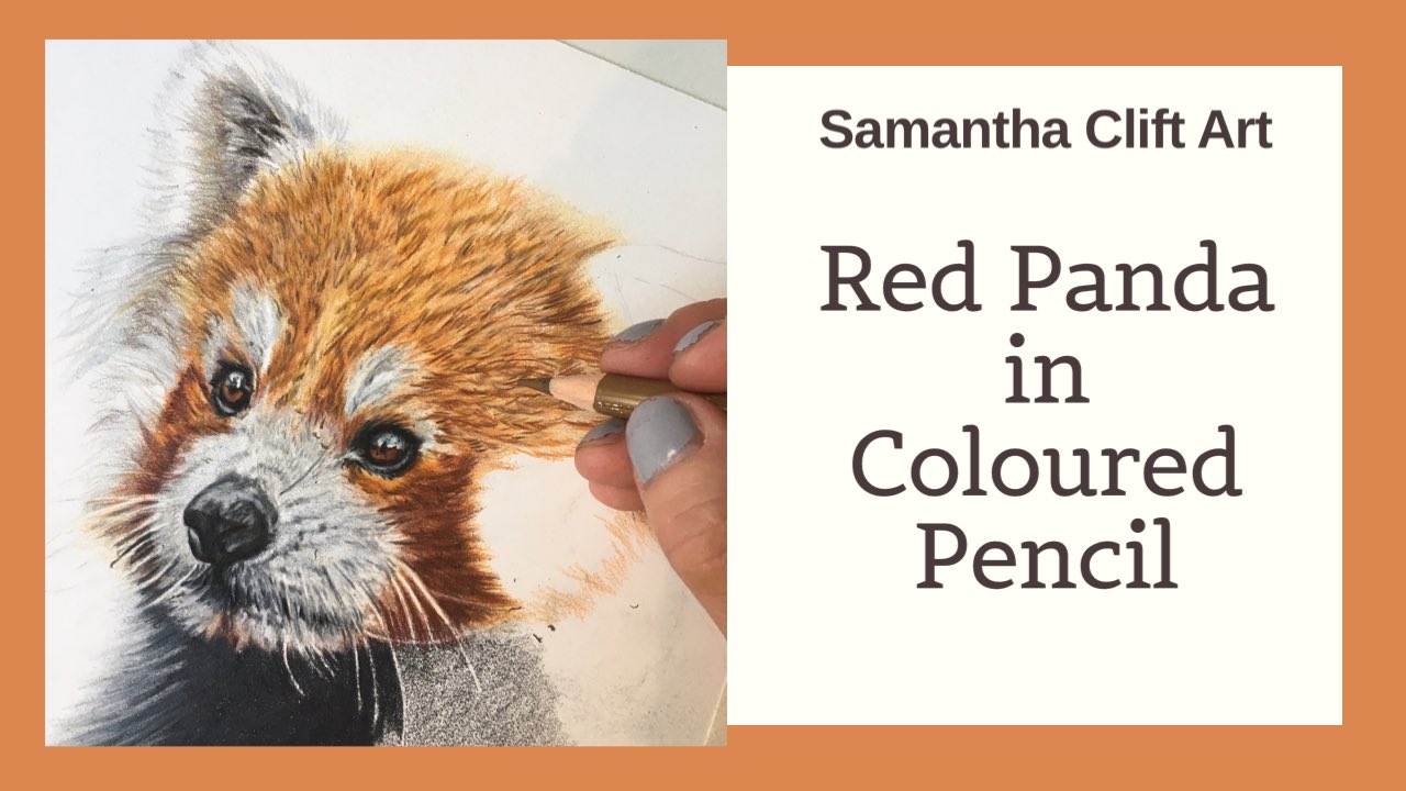 Samantha Clift Art A Timelapse Video Of Drawing My Red Panda In Coloured Pencil Please Visit My Youtube Channel T Co Rraw7duxzh Timelapse Colouredpencildrawing Cpart Redpandadrawing T Co 2jao8kbtr2 Twitter