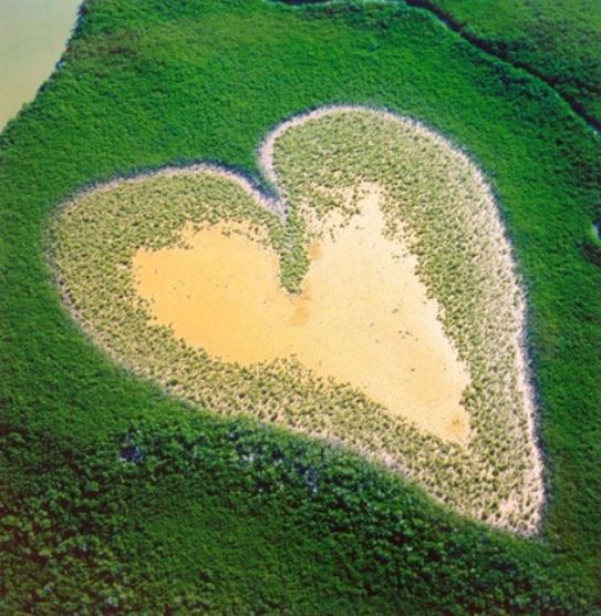 - Le coeur de VohLieu: Nouvelle Calédonie, pacifique sud.Ce site a été popularisé par les documentaires de Yann Arthus Bertrand