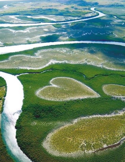 - Le coeur de VohLieu: Nouvelle Calédonie, pacifique sud.Ce site a été popularisé par les documentaires de Yann Arthus Bertrand