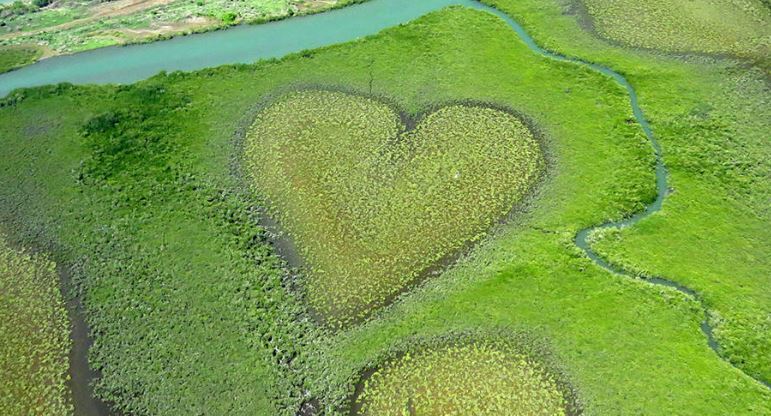 - Le coeur de VohLieu: Nouvelle Calédonie, pacifique sud.Ce site a été popularisé par les documentaires de Yann Arthus Bertrand