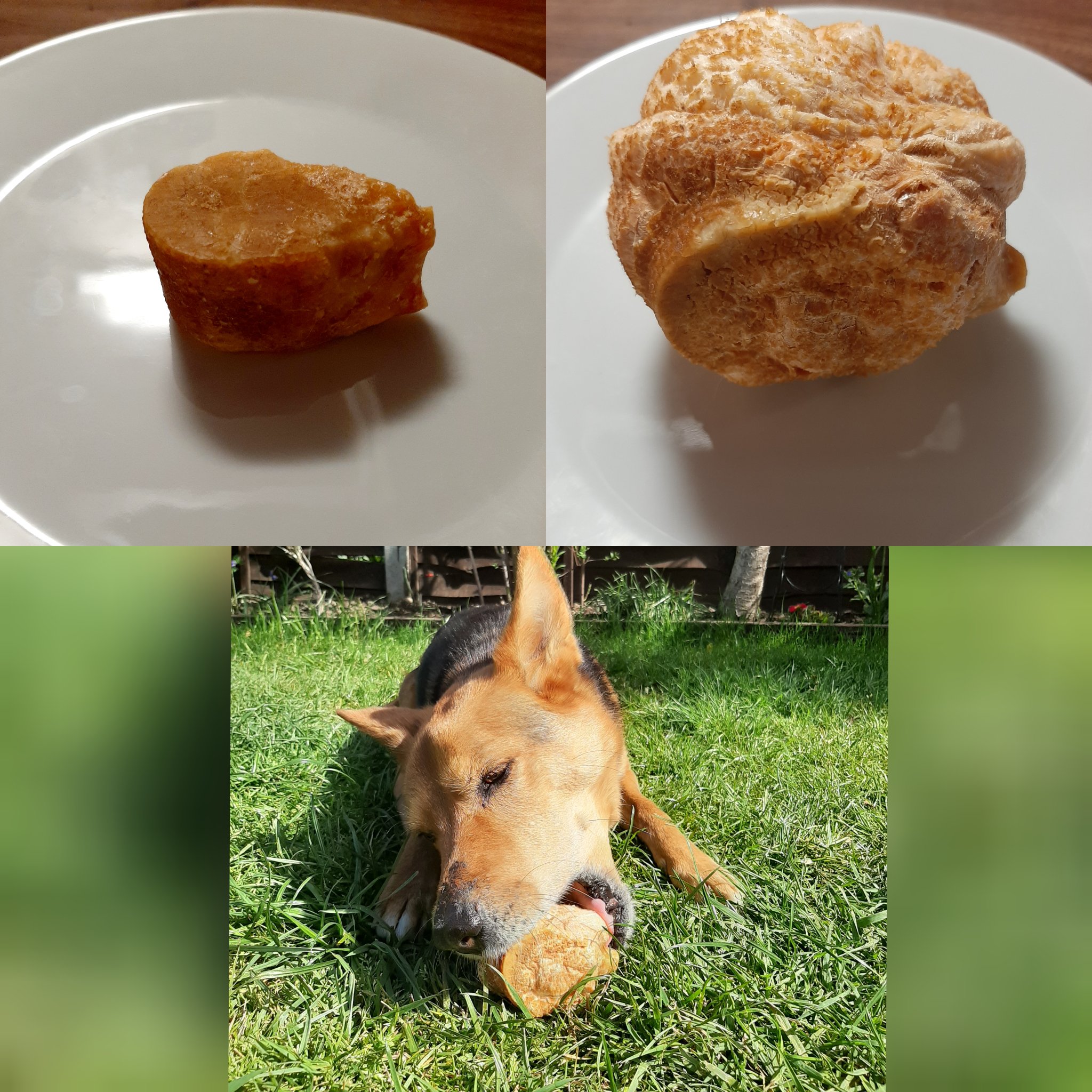 Yak milk store dog chew microwave