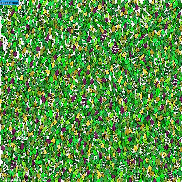 PeriodicoQuequi's tweet photo. #Viral Encuentra la #rana oculta entre las hojas
La imagen fue compartida por el artista #Dudolf en #Facebook, donde más de 2 mil personas decidieron responder al desafío, en varios casos sin éxito.
https://t.co/4WOpiqn2so https://t.co/fmmKKrptkS