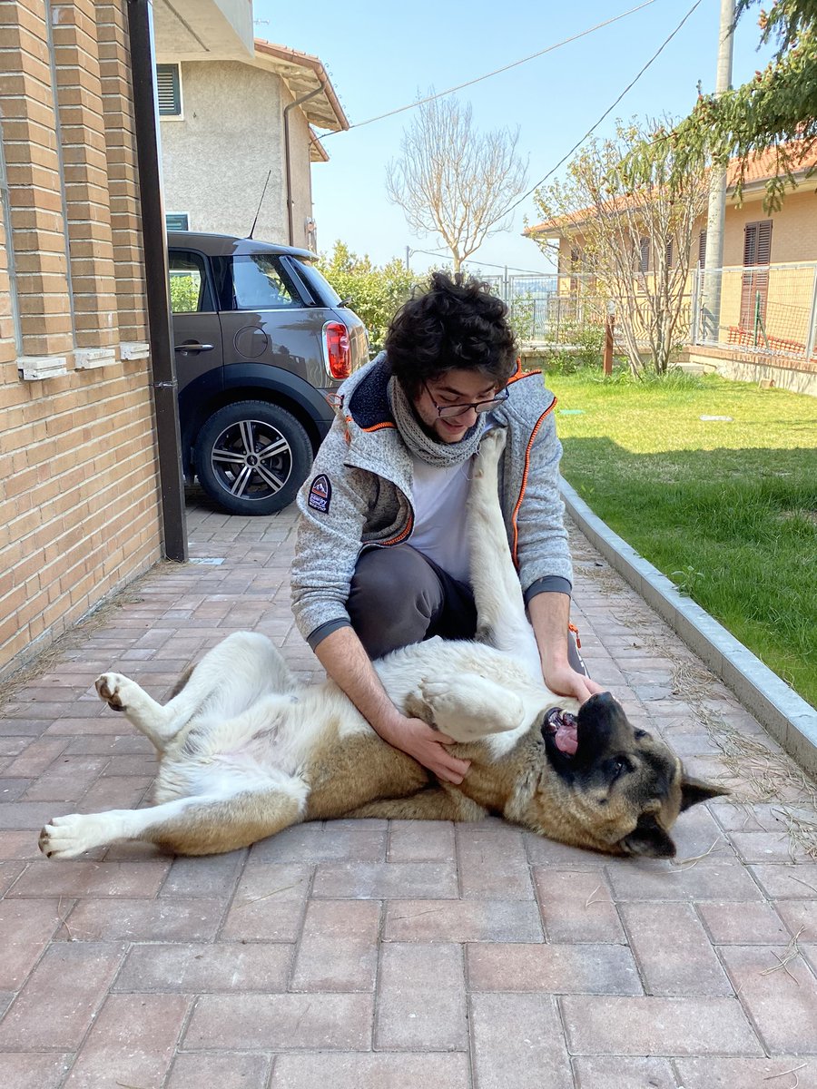 Philthepain3's tweet photo. One meter pleaseeee! 🤣🤣🤣
__________________________________________
#dog #quarantine #QuarantineLife #akitaamericano #americanakita #onemeter #one #sunnyday #funny #cool #omg #ritori https://t.co/szrZK7sn35