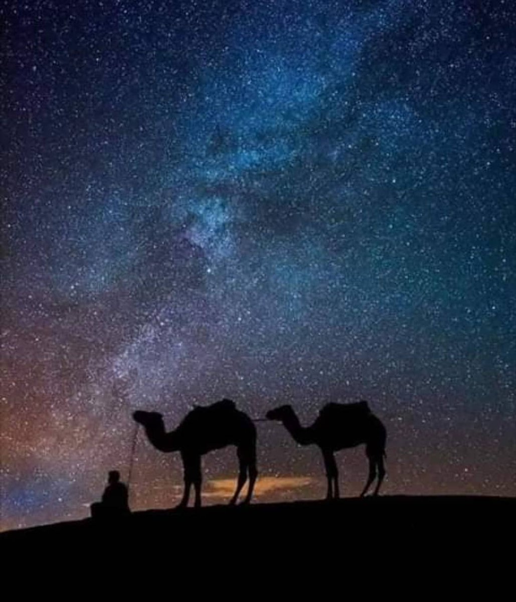 Караван ночью на глазах. Верблюды ночью. Пустыня ночью. Араб в пустыне ночью. Караван ночью.