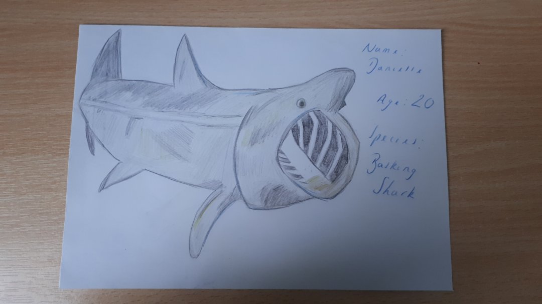 @frozenark @UniofNottingham @MolEcolCU @CUBiosciences #FrozenArtProject #OceanTheme my first ever shark drawing 🦈🌊