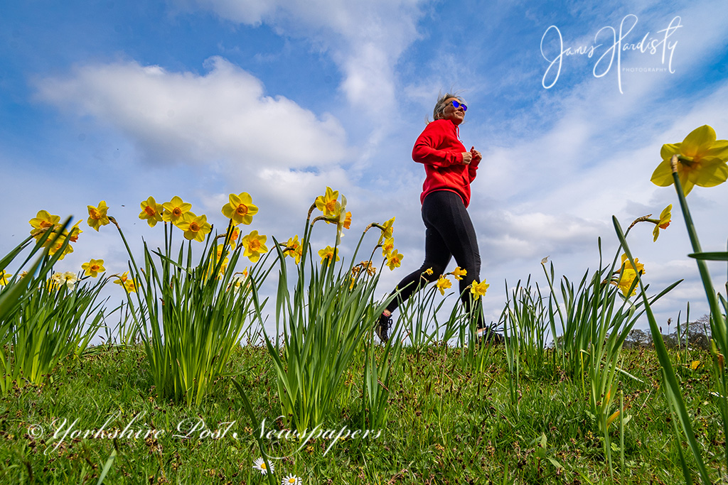 snapperjim's tweet photo. #Spring in #Leeds keeping to the rules #dailyexcise during #uklockdownnow #ukcoronavirus #mentalhealth #TogetherStronger @LeedsCC_News @LeedsParks #flowers #outdoors @YPinPictures @yorkshirepost @OpinionYP @MarisaCashill @IanDayPix @LeedsNews @LauraCollinsYPN #stretchfortheNHS https://t.co/e28UQOtZmo