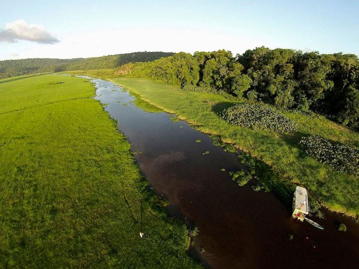 -Les marais de KawLieu: Guyane, Amérique du sud Un haut lieu de la biodiversité Guyanaise