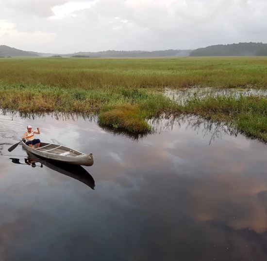 -Les marais de KawLieu: Guyane, Amérique du sud Un haut lieu de la biodiversité Guyanaise
