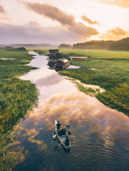 -Les marais de KawLieu: Guyane, Amérique du sud Un haut lieu de la biodiversité Guyanaise