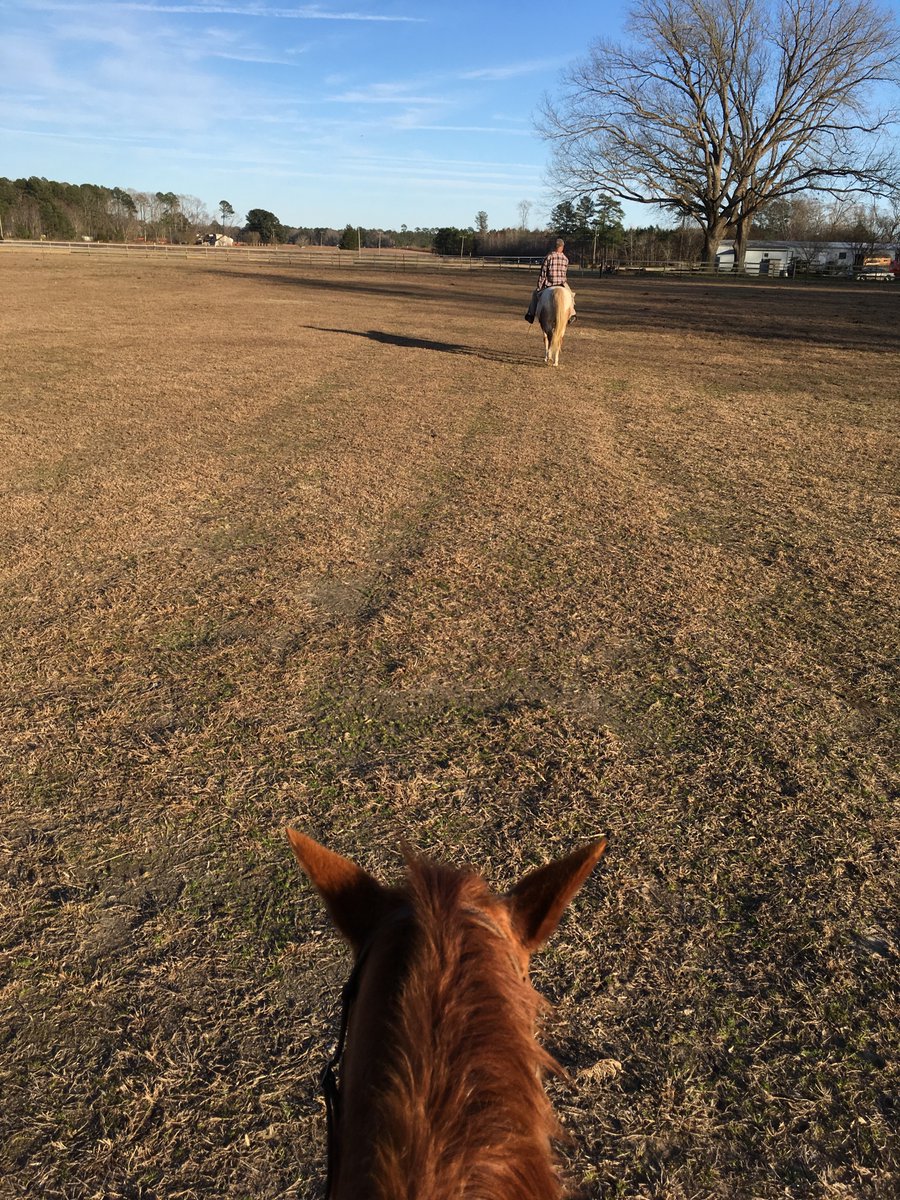 Sadly, all my attempts to derail her plans failed. Here I am carrying her around the main pasture behind my Lord Consort Walks In Beauty who was forced to carry Barn Help around.  #StillPlotting