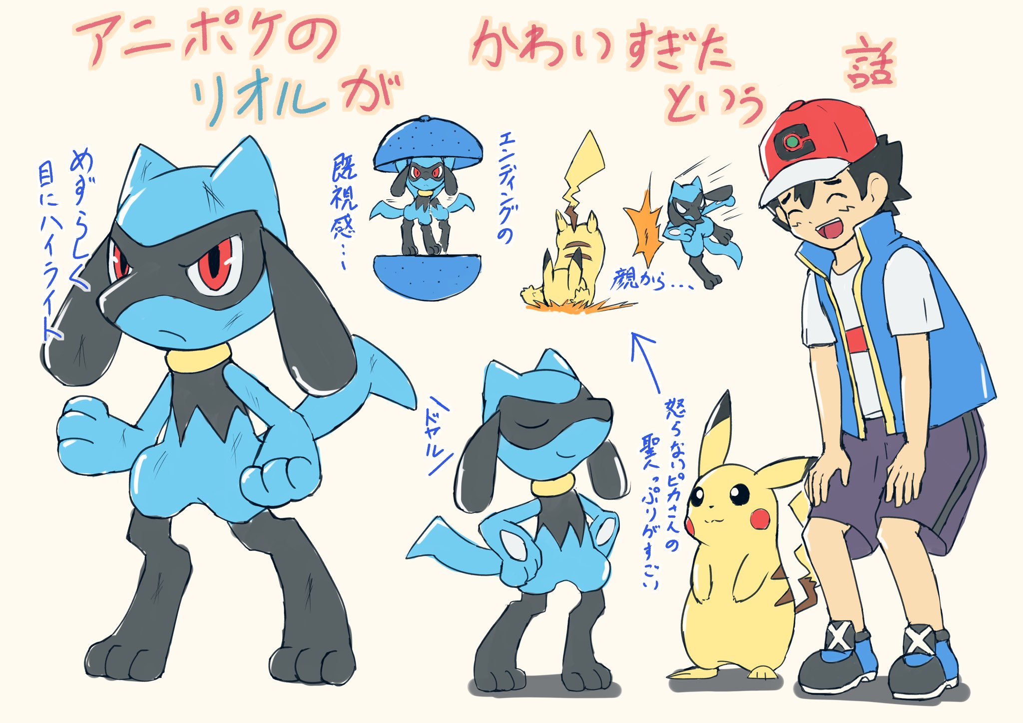 しぐ めちゃくちゃかわいかった アニポケ リオル T Co Mkn0u8rkfk Twitter