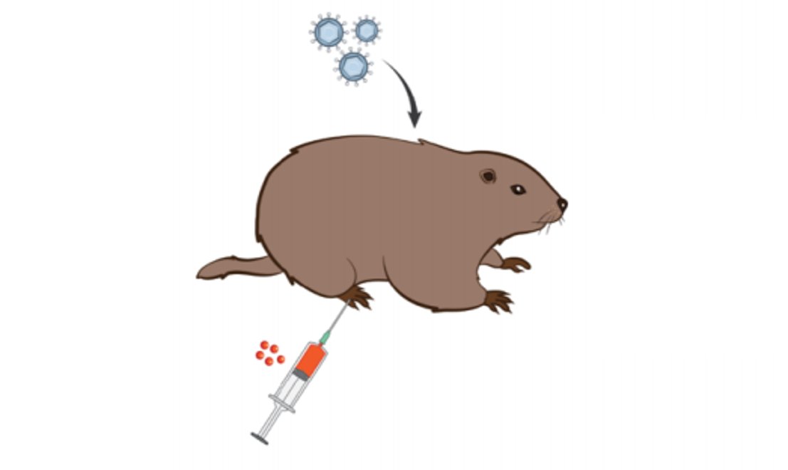 The Chan Lab tweet media