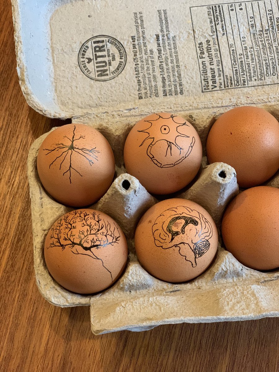 I can’t wait for my partner to discover these eggs in the fridge 😂