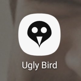 1. Ugly Bird - fake twt app- it is free, but if you wish to make a fake profile, you have to pay for it. idk if it still like that since they updated the apps so much and I bought the app since last year.