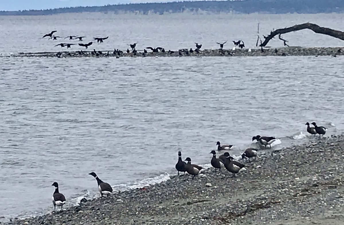 Baggywrinkles's tweet image. Local 20/20 Weekly Announcements - mailchi.mp/a626c0b3bcb1/v…