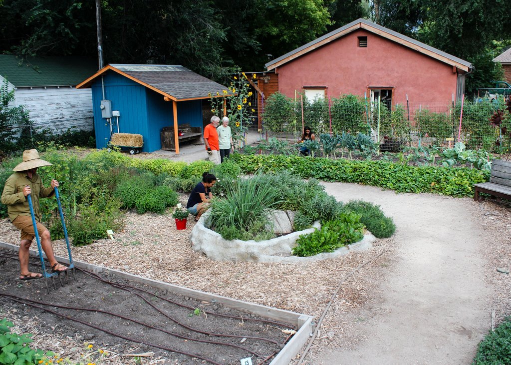 Dear Community – to safeguard our staff and gardeners’ health, as well as the health of our community, please note that our Grateful Tomato Garden is closed to the public for the time being. (Photo taken from a prior summer.)