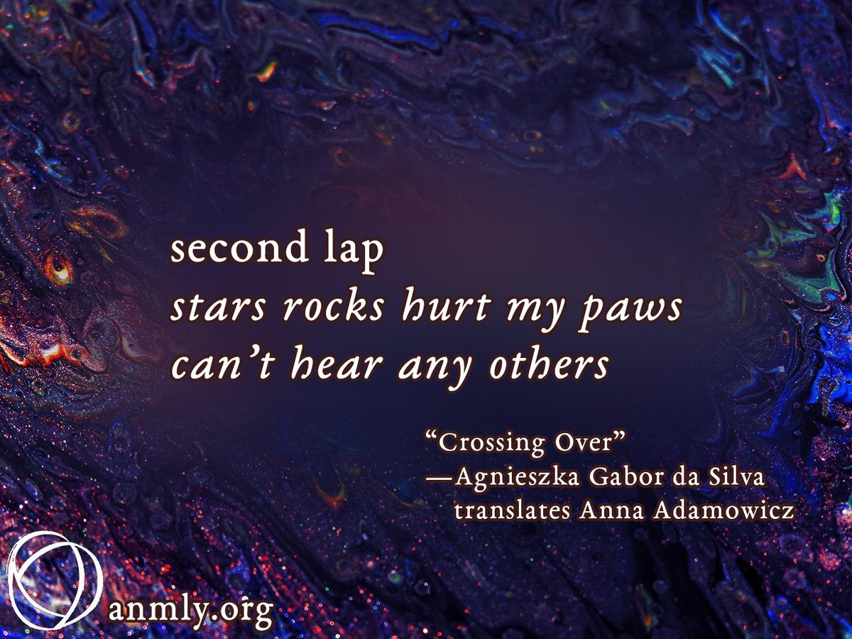 ANMLY :: Anomaly :: Anomalous Press tweet media