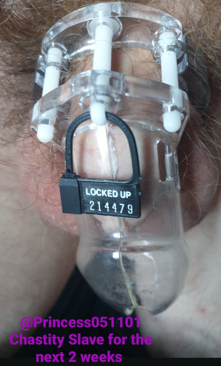 ChastityBoy15's tweet photo. OWNED for the next 2 weeks.
I'm now puppy for the very beautiful @Princess051101 https://t.co/V402g6YGJX