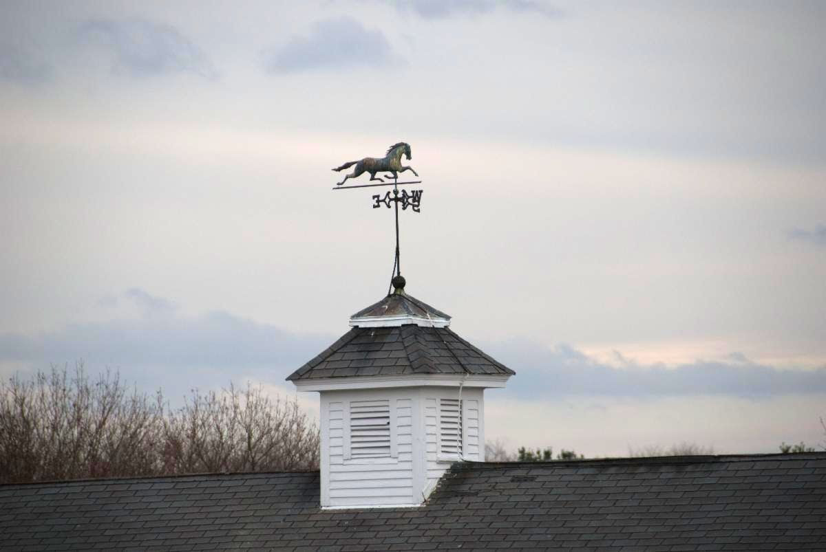 JudithEvans1's tweet photo. Design Wright Locke Farm's New Weathervane!

- Should have a clear "point" that indicates wind direction
- Easy to fabricate out of metal
- Should be easily seen and understood from 50 ft away
- No larger than 3x3 ft in dimension
- Sent to info@wlfarm.org by  4/30 https://t.co/VjZ93spe2E