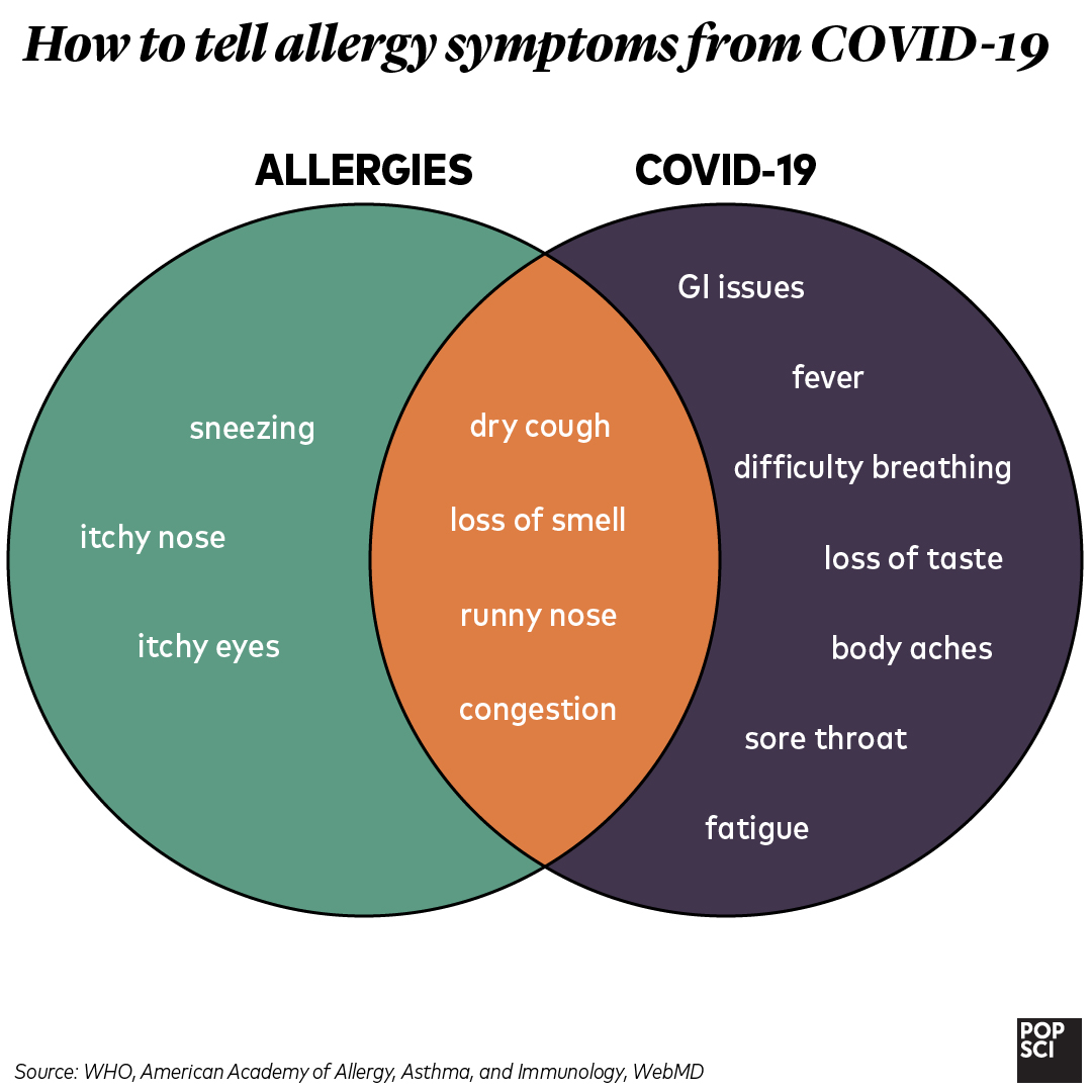 PopSci's tweet photo. How to tell allergy symptoms from #COVID19, in one chart: https://t.co/rYUBNAEEhw