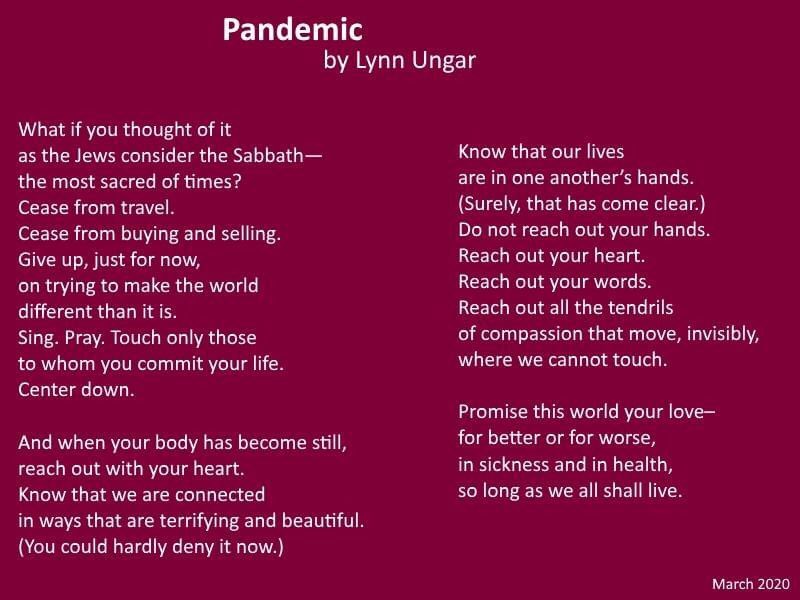 #nationalpoetrymonth
poem for April 13th
"Pandemic" by Lynn Ungar

(lynnungar.com/poems/pandemic/)