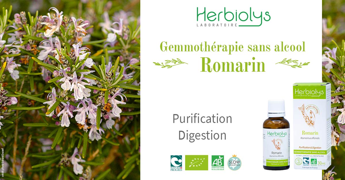 Le bourgeon de romarin correspond à la gemmothérapie du foie. Il stimule et protège le système hépatobiliaire. Détoxifiant et antioxydant majeur il équilibre aussi le système nerveux.
A découvrir ici en version sans alcool : ow.ly/uwYQ50yQZcz

#Herbiolys #bio #gemmothérapie