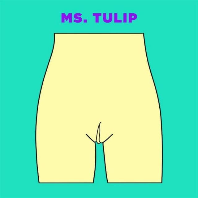 4. TulipThis one looks like a flower about to bloom. Here, the labia minora is slightly showing throughout the whole length of the labia majora. It’s different than the curtains because the inner lips are both exposed and contained.