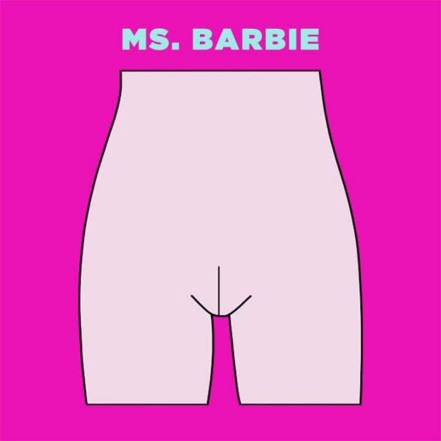 2. BarbieWhile this is the least common, it is the way that majority of people assume that vaginas should look.  In this case, the labia minora are completely hidden inside the labia majora and both sets of lips rest on the pelvic bone.