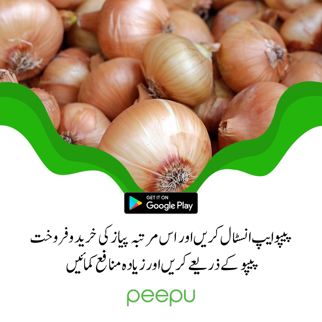 پیپو
اگر آپ کسان ہیں، آڑھتی ہیں، پیاز اور دیگر اجناس کی خرید و فروخت کرتے ہیں
تو پیپو آپ کے لئے بہترین ایپ ثابت ہوسکتی ہے.
ابھی پیپو ایپ انسٹال کریں اور اس بار مکئی کی خرید و فروخت پیپو کے ذریعے کرکے زیادہ منافع کمائیں۔
#Pakistanis4Pakistanis #agriculture #Pakistan #PakistanArmy