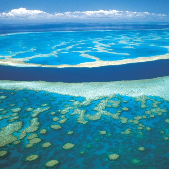 -La grande barrière de CorailLieu: Nouvelle Calédonie, Pacifique sud