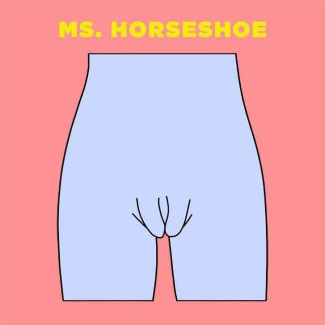 5. HorseshoeThis is when the vagina opening is wider at the top, which exposes the labia minora, but the labia majora touch towards the bottom and stop the labia minora from extending below them. The shape looks like a horseshoe in general.