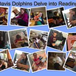 Photo by Davis-ES (@CSDDavisES)