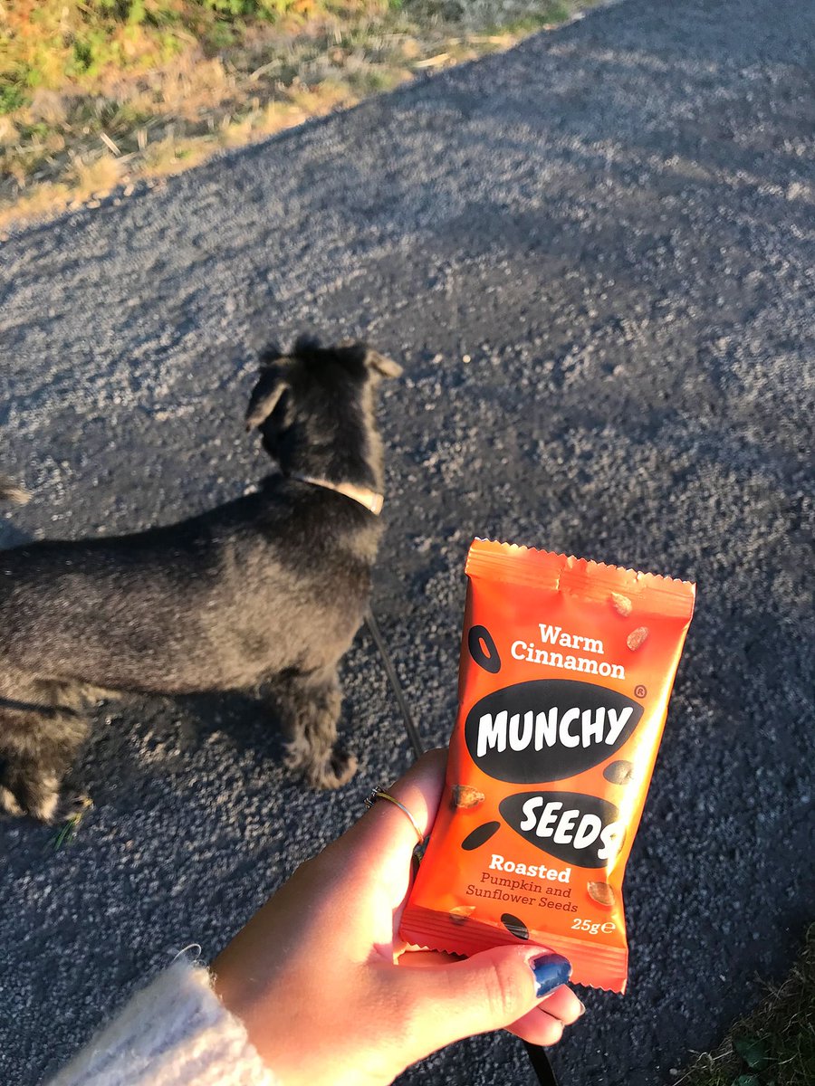 Munchy Seeds tweet media