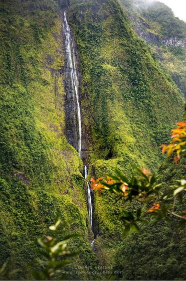 - La cascade blancheLieu: Ile de la Réunion, océan IndienElle figure elle aussi parmi les plus hautes chutes d'eau au monde