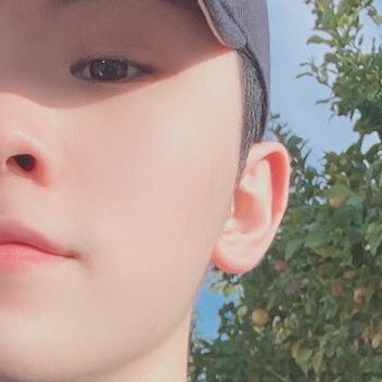 Woozi - SVTLEE JIHOON EARS ARE SO TINY!! like.. they’re so small.. :(( and they stick out alittle which I think is so adorable like.. ahh his ears! I will cry about his ears.