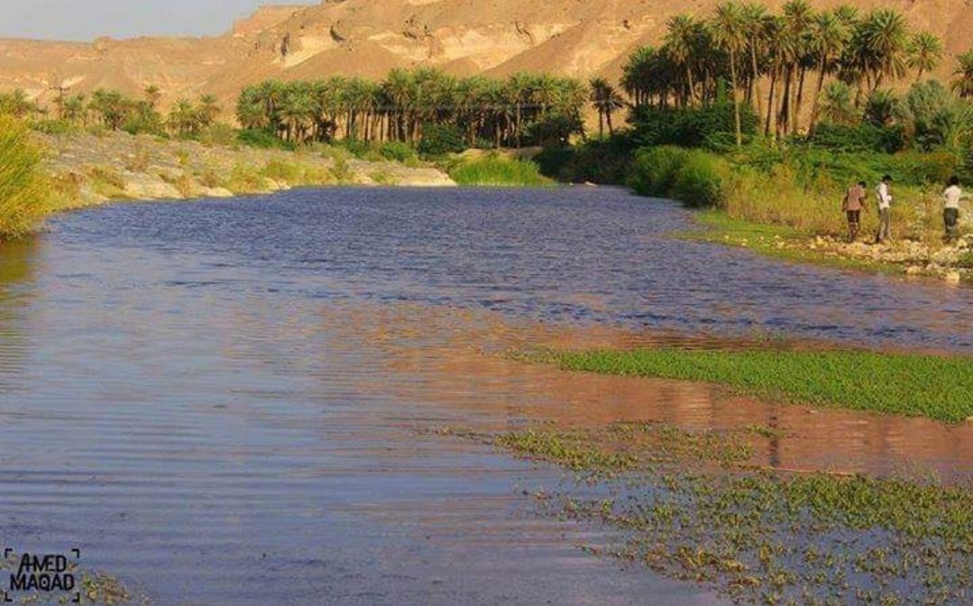 jdalhadarm's tweet photo. #توثيق_جد_الحضارم 

ساه منطقة #غيل_عمر

الاسم منسوب للشيخ  عمر بن محمد باوزير
اول من سكن فيها سنة 706 هجري

كلمونا عنها وعن اهلها وصور عنها وعن تاريخا الكبير https://t.co/FNRpKOSFi2
