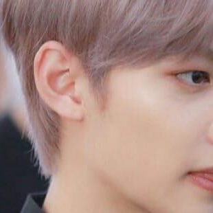 Felix - SKZI think his ears are so so cute. I think longer earrings look sooo nice on him. And like.. his ear size is a good middle ground of not too large, not too small. They also stick out just the right amount like.. :<