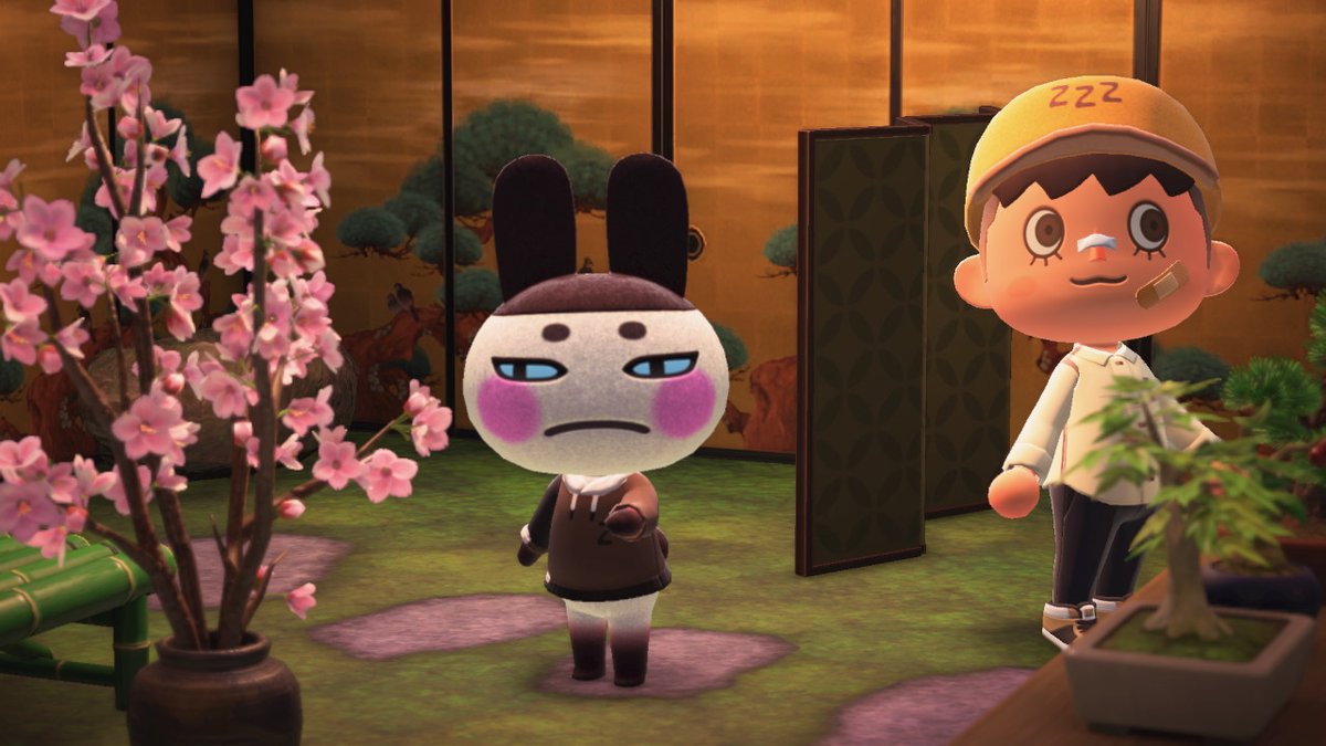 davis c. tweet media