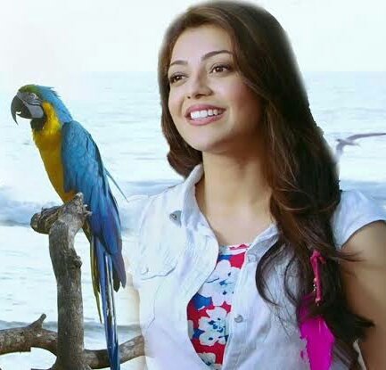 Aa goruvanka pakkanaRama chiluka entha chakkanaAnthakante chakkananta nuvvunte na pakana #KajalAggarwal  @MsKajalAggarwal 