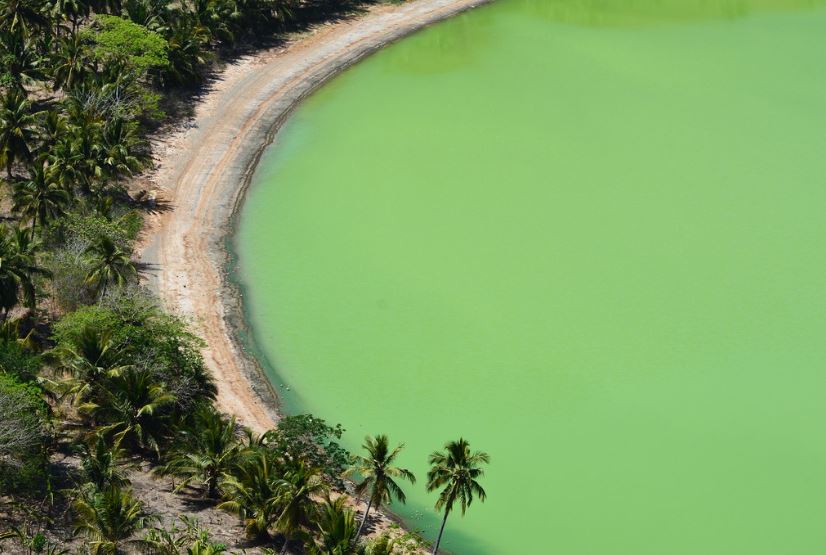 - Le lac Dziani Lieu: Mayotte, océan Indien