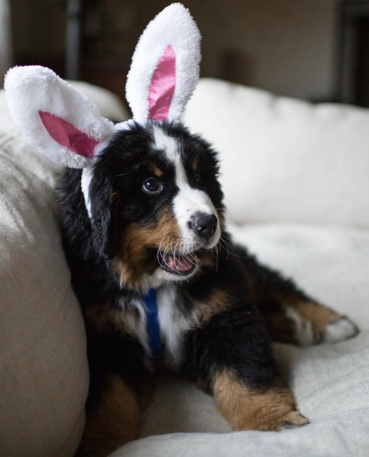 EVfzZstX0AEjiOR?format=jpg&name=large