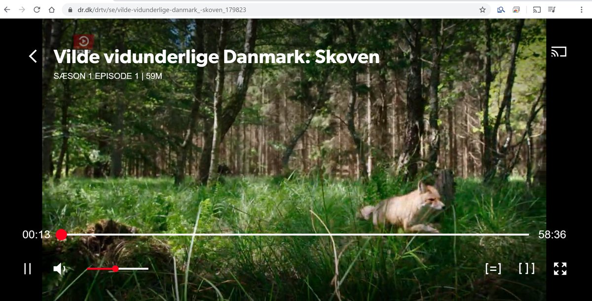 Ny kæmpesatsning på naturformidling fra @DR1TV. Vi har bedt vores naturnørd <a href="/LGruwier/">Lilli Gruwier</a> anmelde det første afsnit af Vilde Vidunderlige Danmark: scienceblog.dk/2020/04/13/vil… #dkvid #dkgreen #dknatur @DRViden